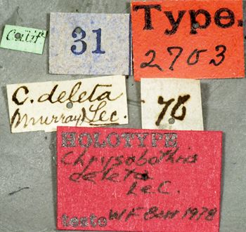 Media type: image;   Entomology 2703 Aspect: labels
